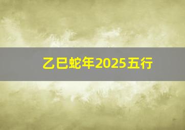 乙巳蛇年2025五行