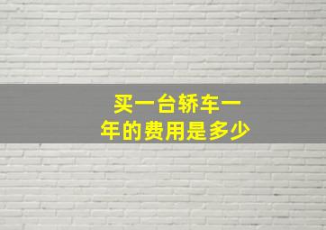 买一台轿车一年的费用是多少