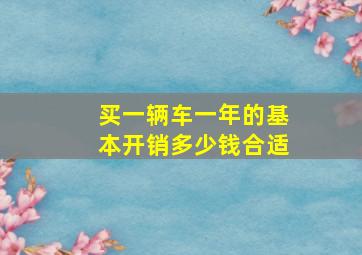 买一辆车一年的基本开销多少钱合适