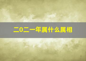 二0二一年属什么属相