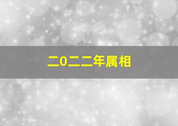 二0二二年属相