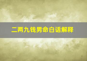 二两九钱男命白话解释