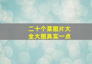 二十个菜图片大全大图真实一点