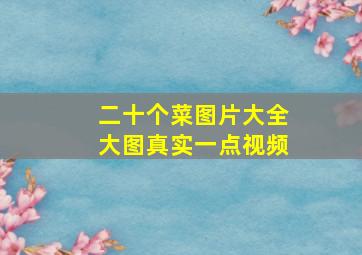 二十个菜图片大全大图真实一点视频