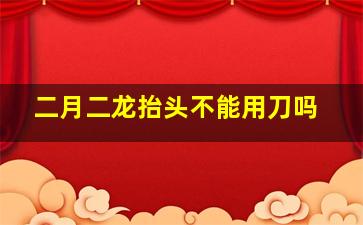 二月二龙抬头不能用刀吗