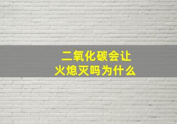 二氧化碳会让火熄灭吗为什么