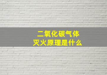 二氧化碳气体灭火原理是什么