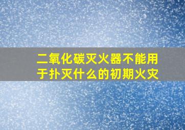 二氧化碳灭火器不能用于扑灭什么的初期火灾