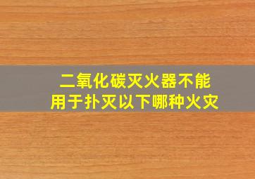 二氧化碳灭火器不能用于扑灭以下哪种火灾