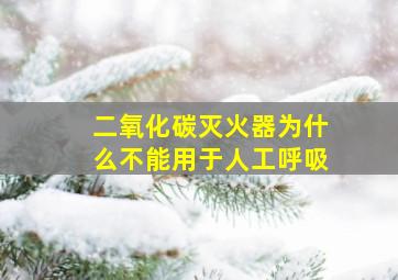 二氧化碳灭火器为什么不能用于人工呼吸