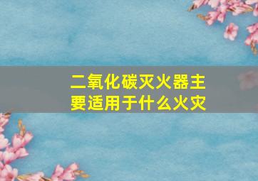 二氧化碳灭火器主要适用于什么火灾