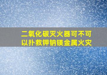 二氧化碳灭火器可不可以扑救钾钠镁金属火灾