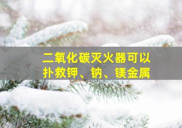 二氧化碳灭火器可以扑救钾、钠、镁金属