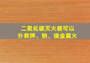 二氧化碳灭火器可以扑救钾、钠、镁金属火