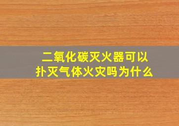 二氧化碳灭火器可以扑灭气体火灾吗为什么