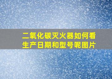 二氧化碳灭火器如何看生产日期和型号呢图片