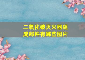 二氧化碳灭火器组成部件有哪些图片