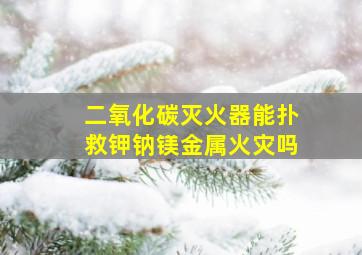 二氧化碳灭火器能扑救钾钠镁金属火灾吗