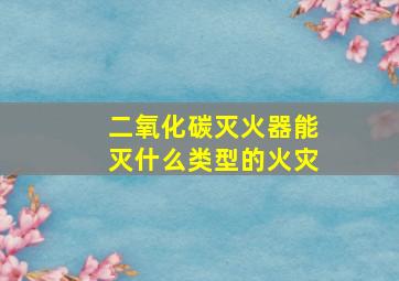 二氧化碳灭火器能灭什么类型的火灾