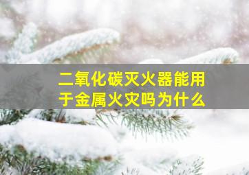 二氧化碳灭火器能用于金属火灾吗为什么