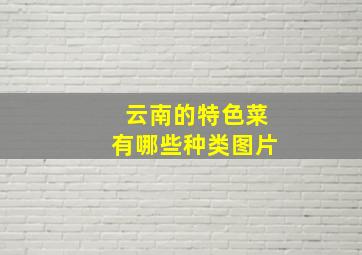 云南的特色菜有哪些种类图片