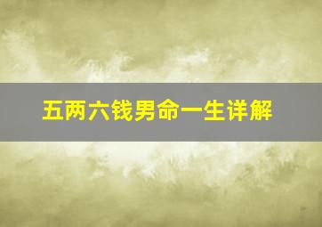 五两六钱男命一生详解