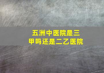 五洲中医院是三甲吗还是二乙医院