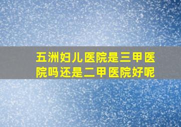 五洲妇儿医院是三甲医院吗还是二甲医院好呢