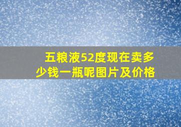 五粮液52度现在卖多少钱一瓶呢图片及价格