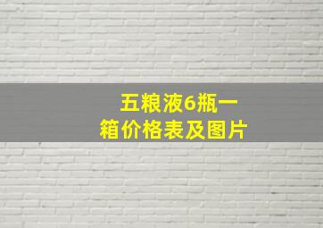 五粮液6瓶一箱价格表及图片