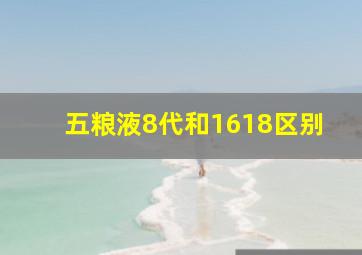 五粮液8代和1618区别