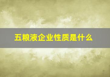 五粮液企业性质是什么