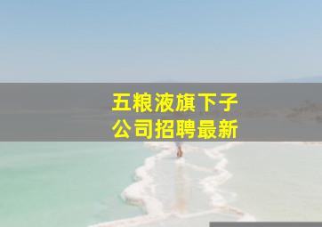 五粮液旗下子公司招聘最新