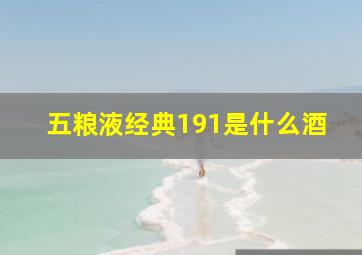 五粮液经典191是什么酒