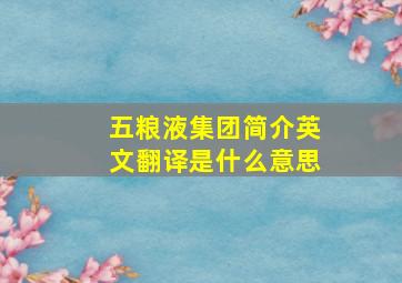 五粮液集团简介英文翻译是什么意思