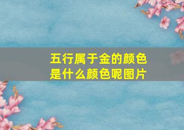 五行属于金的颜色是什么颜色呢图片