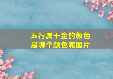 五行属于金的颜色是哪个颜色呢图片