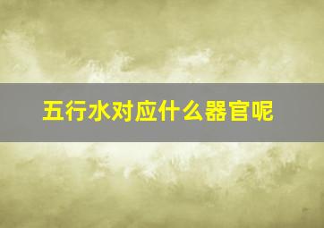 五行水对应什么器官呢