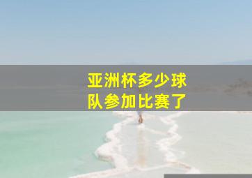 亚洲杯多少球队参加比赛了