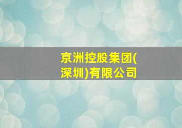 京洲控股集团(深圳)有限公司