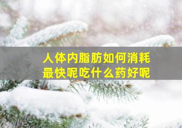 人体内脂肪如何消耗最快呢吃什么药好呢