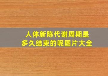 人体新陈代谢周期是多久结束的呢图片大全