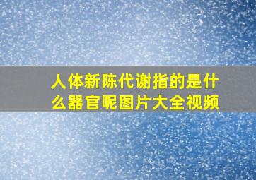 人体新陈代谢指的是什么器官呢图片大全视频