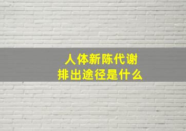 人体新陈代谢排出途径是什么