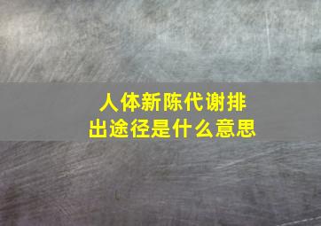 人体新陈代谢排出途径是什么意思