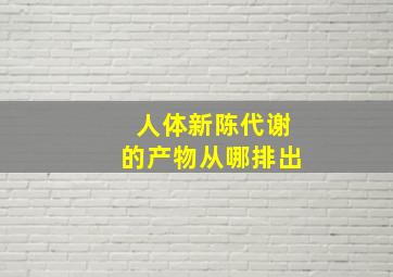 人体新陈代谢的产物从哪排出