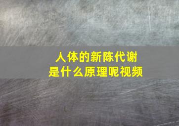 人体的新陈代谢是什么原理呢视频