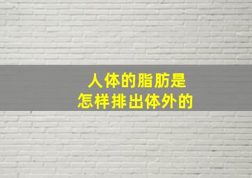 人体的脂肪是怎样排出体外的