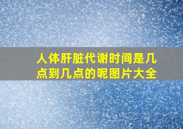 人体肝脏代谢时间是几点到几点的呢图片大全