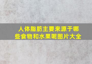 人体脂肪主要来源于哪些食物和水果呢图片大全